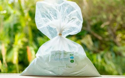 We Nurture What We Love